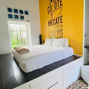 Kuku Ruku 3*, Querétaro Mexico