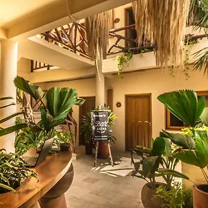Arena Holbox